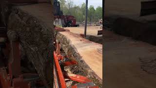 Sawing sweet gum on our LT 40 Woodmizer [upl. by Rupert]