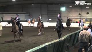 3Gaited Railwork at the US Saddle Seat Invitational [upl. by Graff77]