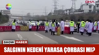 Salgının nedeni yarasa çorbası mı [upl. by Lleryd232]