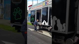 CARROCERIA TIPO FURGON Y SPA PARA TRANSPORTE CANINO [upl. by Suaeddaht]