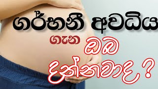 Stages of Pregnancy  ගර්භණී අවධිය ගැන දැනගනිමු pregnancy pregnancyjourney [upl. by Cantlon507]