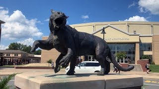 The Wampus Cat [upl. by Euphemiah937]