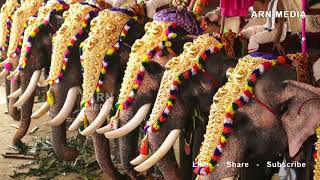 Tripunithura Utsavam 2018  Thirumunbil Melam  Peruvanam Kuttan Marar [upl. by Melina582]