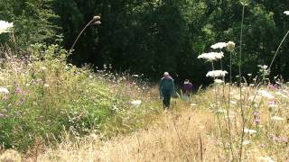 Wandelen in ZuidLimburg [upl. by Mcclure485]