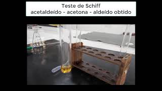 Aula prática de Química Orgânica  Testes de aldeídos e cetonas [upl. by Latsyrcal]