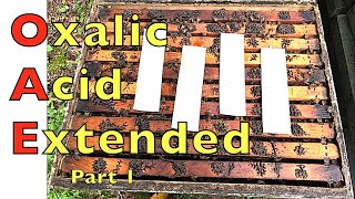 Extended Release Oxalic Acid Field Trials [upl. by Ylirama318]