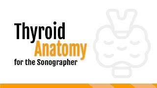 Thyroid Anatomy for the Sonographer [upl. by Alley]