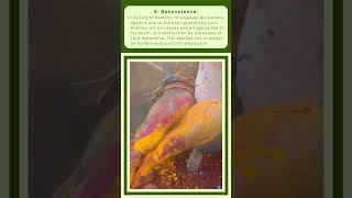 Lessons from holi holi happyholi holispecial holigeet holisong holi festivalrangoli festive [upl. by Hars]