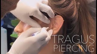 Tragus Piercing Experience  UrbanBodyJewelrycom [upl. by Jarred]