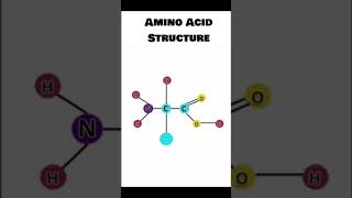 Amino Acid shortsviral [upl. by Aya]