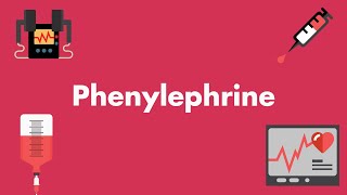 Phenylephrine  Vasopressors amp Inotropes [upl. by Naitsyrk676]