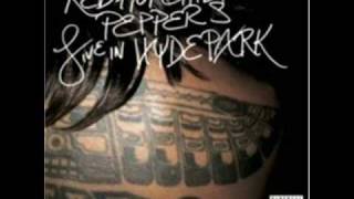 Red Hot Chili Peppers Zephyr Song Hyde Park [upl. by Lednar]