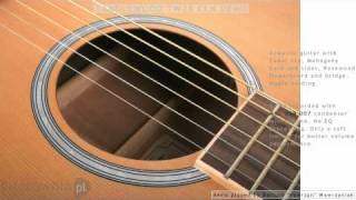 TANGLEWOOD TW28 CLN acoustic guitar  Demo Soundcheck [upl. by Ethben]