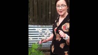 Valerian in the ACHS Herb Garden with Dorene Petersen [upl. by Lasyrc764]