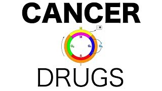 Cancer DrugsPharmacology [upl. by Chauncey]