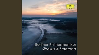 Sibelius Pelléas et Mélisande Suite Op 46 II Mélisande [upl. by Douville842]