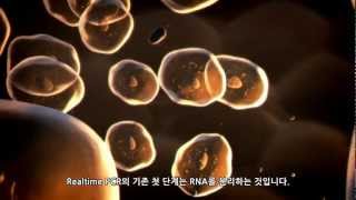 Ambion® CellstoCT™ 로 간단하고 신속한 Realtime PCR을 [upl. by Leahcym]