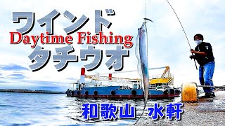 DayTimeFishing ワインド タチウオ  和歌山水軒再 [upl. by Doownil]