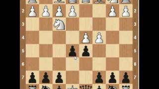 Chess Openings Albin Counter Gambit [upl. by Dudden681]