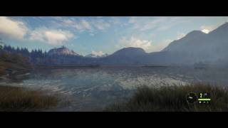 theHunter Call of the Wild THIS IS A FOREST Part 2 [upl. by Brenan]