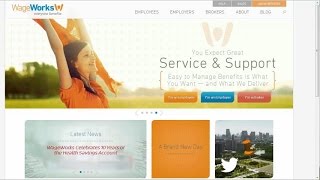 WageWorks Account Overview [upl. by Radke]