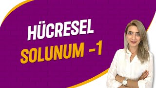 Hücresel Solunum  1  Seda Hoca Biyoloji  29 Ders  sedahocabiyoloji ayt2023 [upl. by Lauraine785]