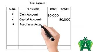 Journal ledger and Trial balance [upl. by Ifar911]