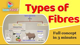 Class 6 Science Chapter 3 Fibre to Fabrics  Types of Fibres  LearnFatafat [upl. by Epilef]