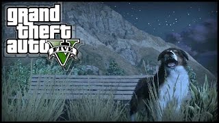 GTA 5 Next Gen  THREE Peyote Plant Locations 5 6 amp 7  quotPlay as Animalsquot 727 Peyote Plants [upl. by Ki]