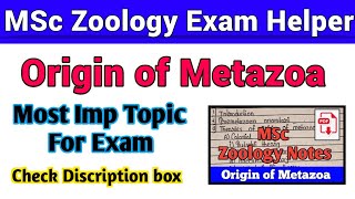 Origin of Metazoa MSc Zoology Notes Pdf [upl. by Edith]