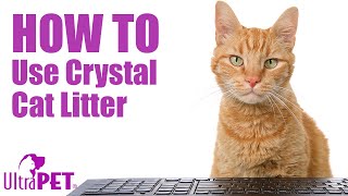 HowtoUse NonClumping Crystal Cat Litter [upl. by Aisenat86]