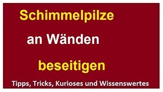 Schimmel Pilze an Wänden bekämpfenbeseitigen mit Brennspiritus Schimmelpilze in der Wohnung [upl. by Aetnahc704]