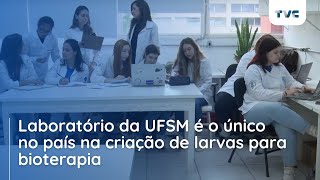 Laboratório da UFSM é o único no país na criação diária de larvas para bioterapia [upl. by Othilia935]