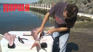 Rapala Tip Of The Week  Cleaning amp Filleting Snapper [upl. by Eihcra959]