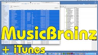 Using Musicbrainz Picard directly with your iTunes library No2 [upl. by Aneeuqahs]