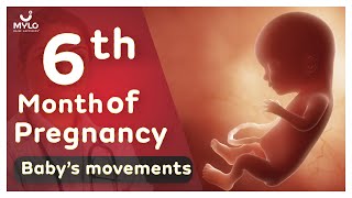 6th Month Of Pregnancy Baby Movements  6th Month Of Pregnancy Baby Growth  Mylo Family [upl. by Trici]