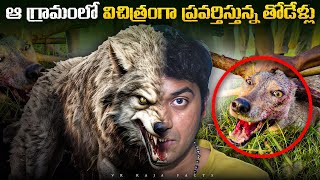 Movie Ticket Prices Hike amp Wolf Strange Behavior  Top 10 Interesting Facts  Telugu Facts VR Raja [upl. by Mungo]