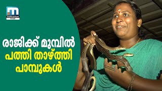 Meet Woman Snake Catcher Raji Mathrubhumi News [upl. by Hinman]