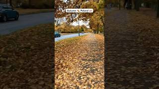 Autumn 🍂 in Poznan Poland 2024 arfaamajd autumn europe youtubeshorts viralvideo [upl. by Alva298]