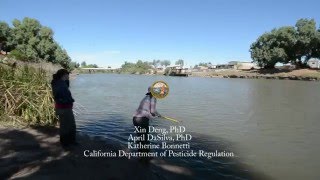 Palo Verde Outfall Drain  Clark Way Imperial County Calif USA [upl. by Latoyia]