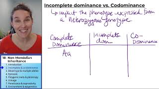 NonMendelian Inheritance 2 Incomplete and Codominance [upl. by Komsa]