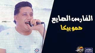 Hamo bika  مهرجان الفارس الصايع حمو بيكا  ميسره  مودي امين  علي قدورة  توزيع فيجو الدخلاوي 201 [upl. by Olegnaleahcim]