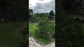 View of Mayan Ruins Guatemala at Tikal shorts [upl. by Akimit]