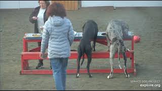 Arena Poppins brekkies TracyM n DonnaC 12132023 exploreorg [upl. by Sneve]