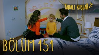 Yaralı Kuşlar 151 Bölüm [upl. by Loginov580]