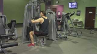 Rear Delt Fly Machine  HASfit Machine Exercises  Machine Exercise  Machine Workouts [upl. by Muns]