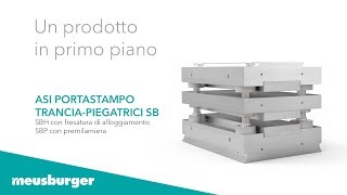 Un prodotto Meusburger in primo piano Basi portastampo tranciapiegatrici SB [upl. by Nela]