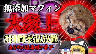 【2023年】「納豆みたいな匂い」「糸引いてる」デザインフェスタで販売されたquot無添加マフィンquotに苦情 実は5日前から常温保存されquot猛毒マフィンquotに…添加物とはどういうもの？【ゆっくり解説】 [upl. by Pietrek]