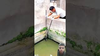 fishing crocodilian fish fishingtips foryou funny gymmotivan comedyfilms [upl. by Loginov]