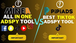 The BEST Shopify Spy Tool  How To Find Dropshipping Products [upl. by Acirema]